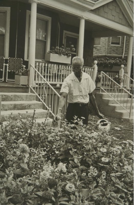 An older Black man tending to his garden, representing the heritage and community connection of Uncle May's Produce